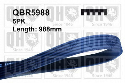 QUINTON HAZELL qbr5988 -  Поликлиновой ремень